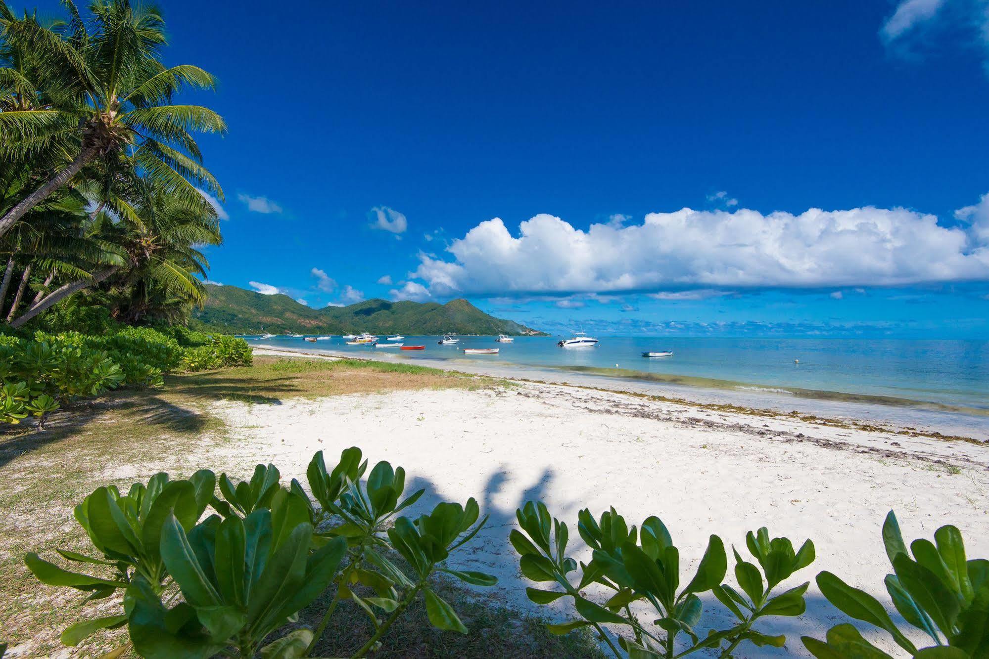 Le Tropique Villa Grand Anse  Bagian luar foto